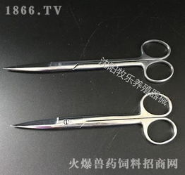 不銹鋼醫用剪與寵物器械 專業手術剪的全方位解析與批發指南